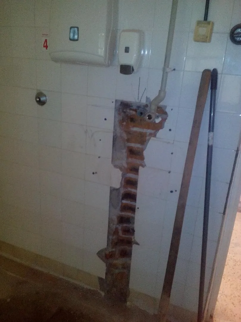 Megújulás képei 2017