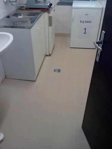 Megújulás képei 2017