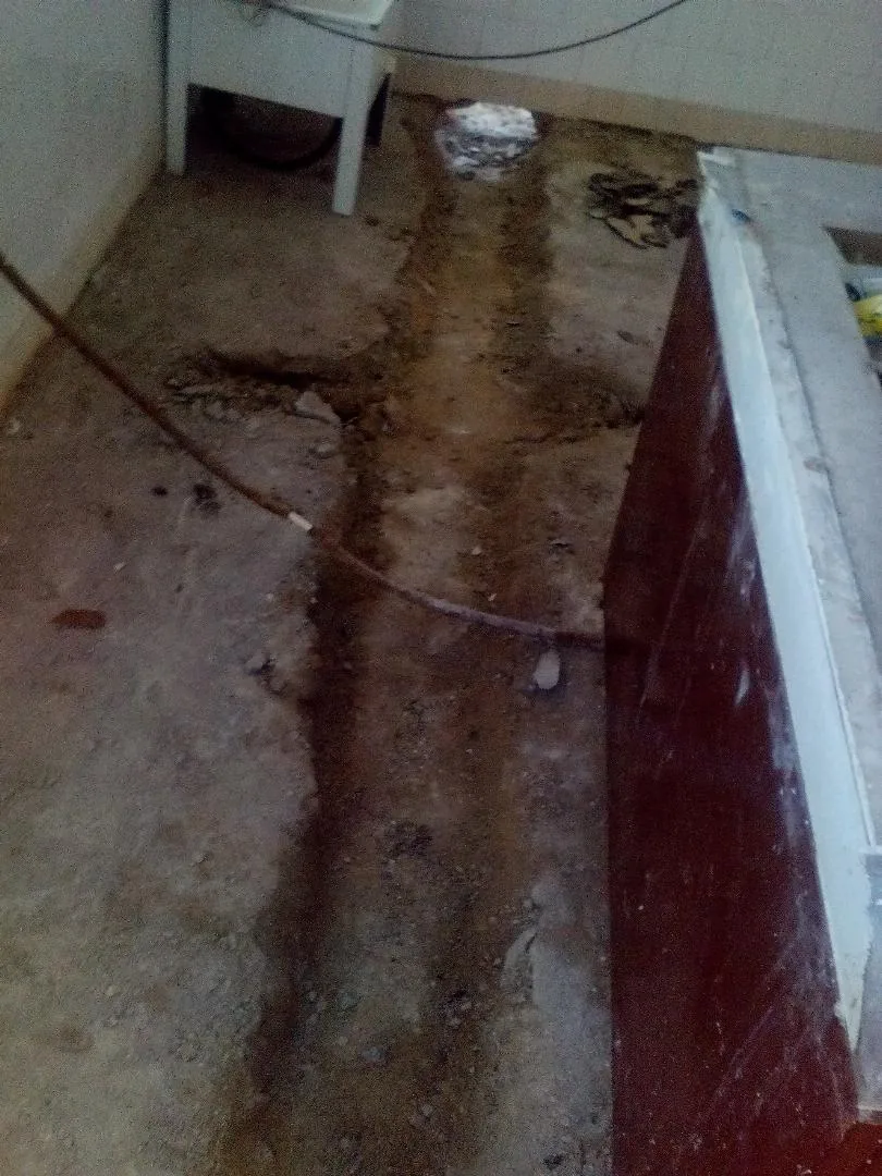 Megújulás képei 2017