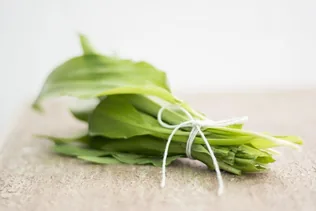 Medvehagyma Napok, Bakonybélben borítóképe