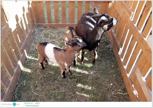 2022.04.14. csütörtöki nap Fotók: Útirány.hu