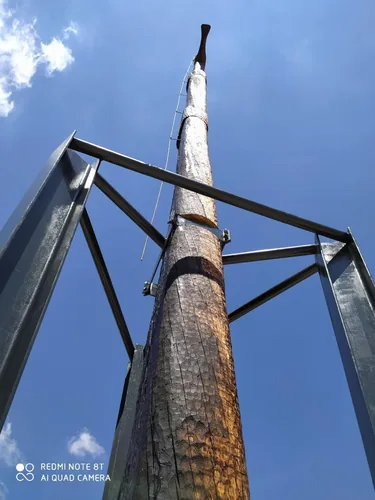 Fotó: Boros József fafaragó, az állítás pillanatai